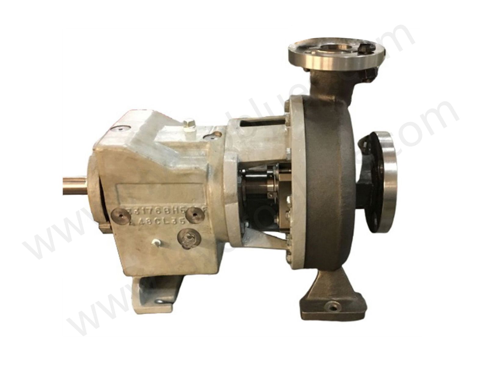 CPT ANSI B73.1 Bare Shaft Pump.jpg