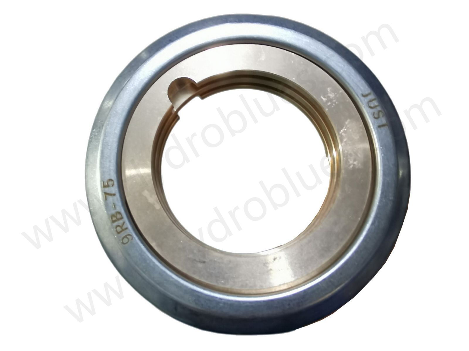 Labyrinth Ring 9RB-75 APP Pump.jpg