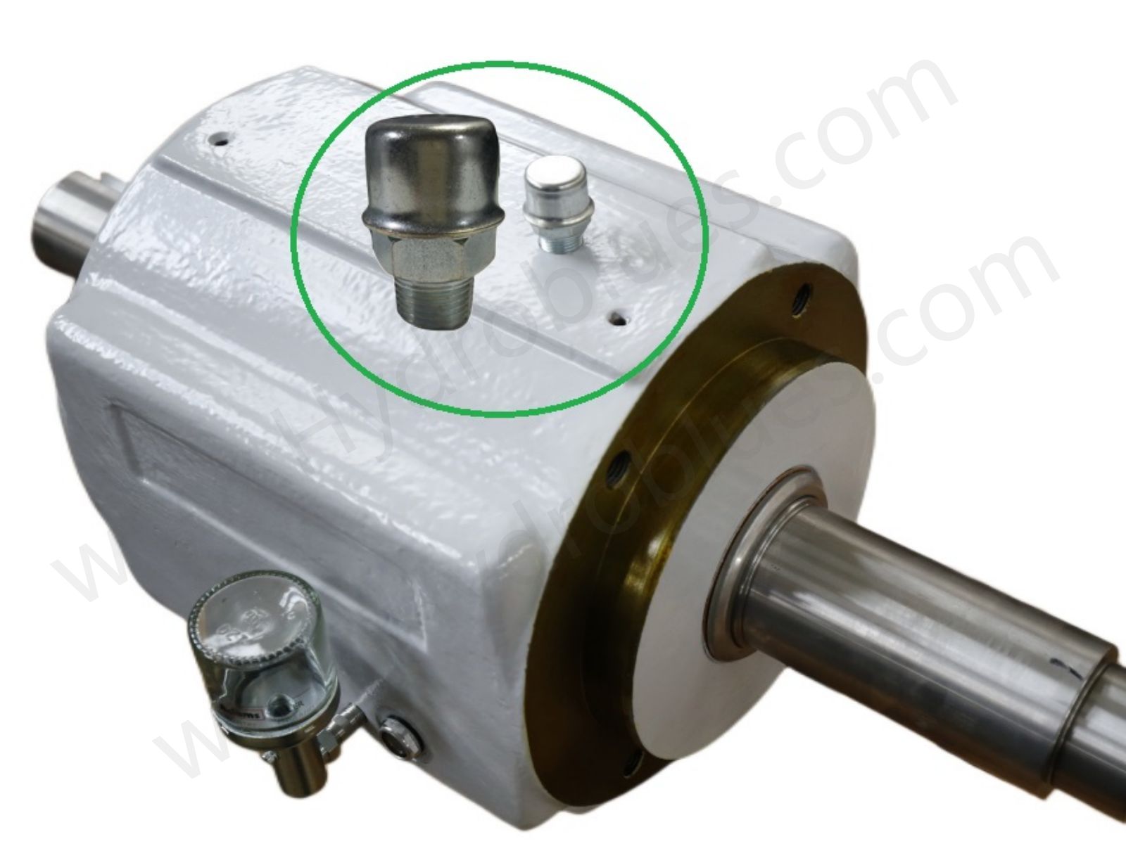 Spare Part Venting Device  Plug APP Pumps.jpg