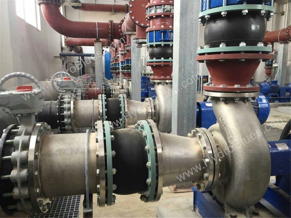 SE End Suction Pumps Site Operation
