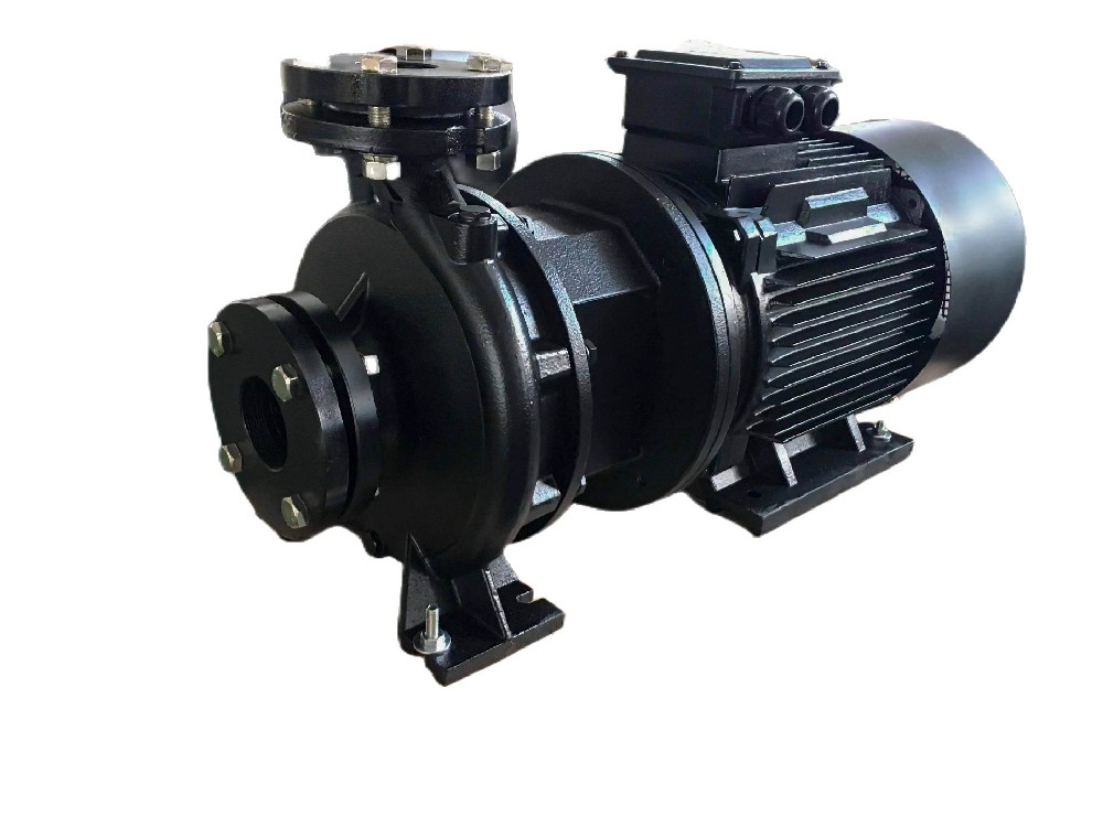 SEN Monobloc Centrifugal Pumps