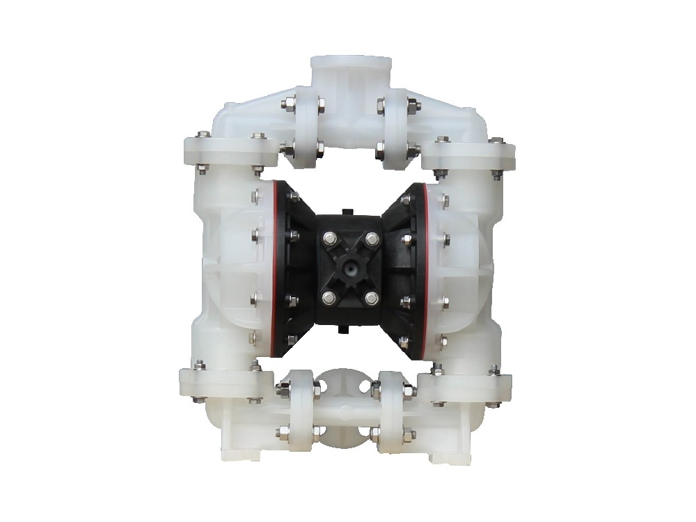 B1FNM AODD Non-Metallic Diaphragm Pumps