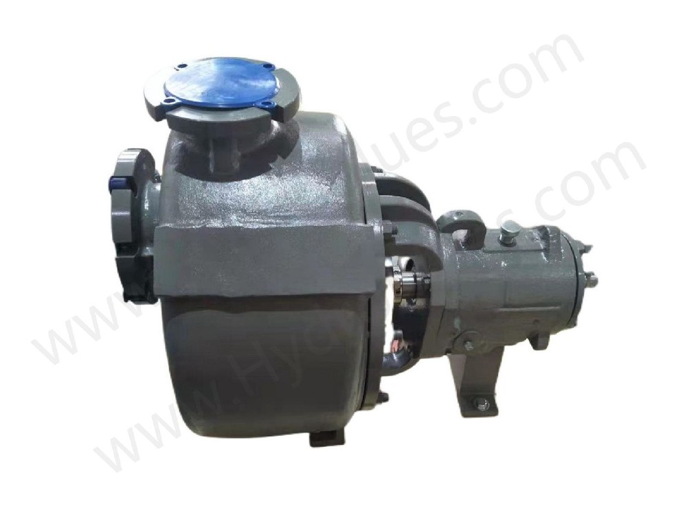 FLOWSERVE MARK 3 ISO Self-priming Pumps