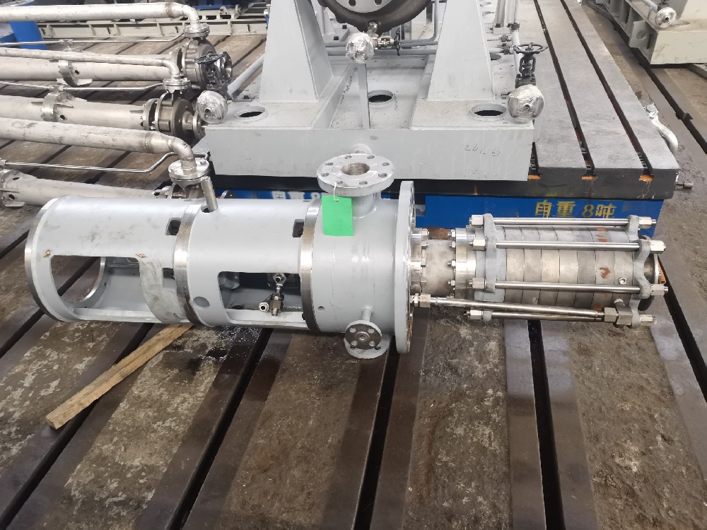 VS6 & VS1 Vertical Suspended Can Pumps